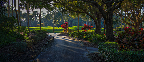 The Forest Country Club Amazing Photo